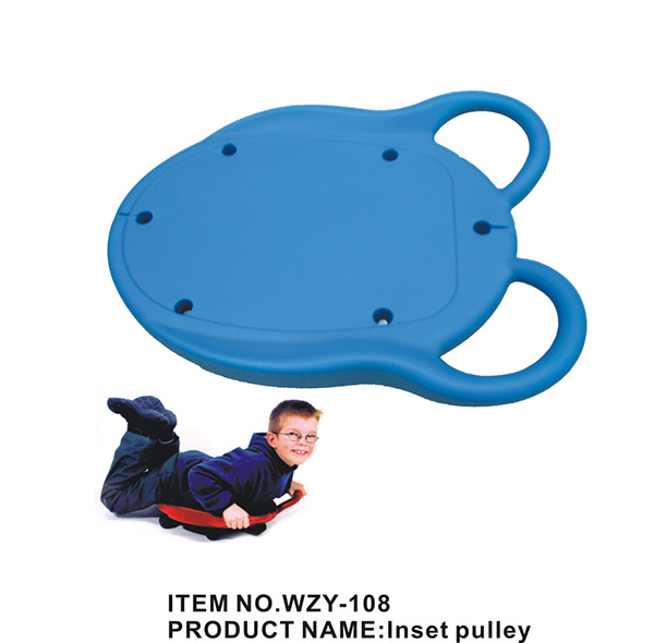 WZY-108-儿童虫形滑车